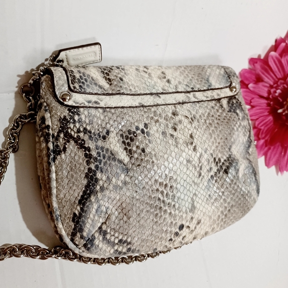 COACH Metallic Snake Kristin Clutch Crossbody RARE NWOT - Picture 13 of 16